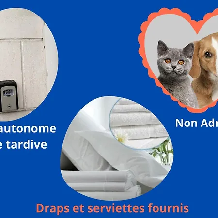 Le Porchaire - 2ch - Elegant Spacieux Et Calme Au Centre De - Futuroscope A 20 Min Apartment Poitiers