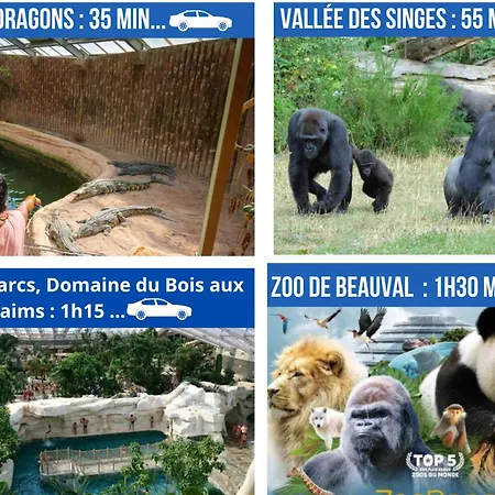 Apartment Le Porchaire - 2ch - Elegant Spacieux Et Calme Au Centre De - Futuroscope A 20 Min