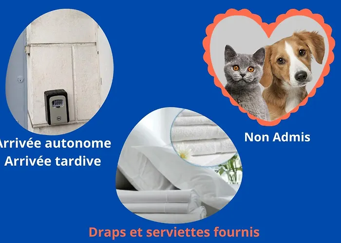 Le Porchaire - 2ch - Elegant Spacieux Et Calme Au Centre De - Futuroscope A 20 Min Апартаменты Пуатье