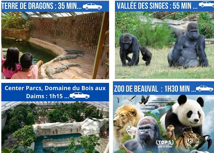 Апартаменты Le Porchaire - 2ch - Elegant Spacieux Et Calme Au Centre De - Futuroscope A 20 Min